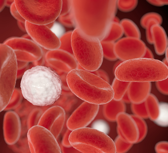 Angiólogo en vasculitis 